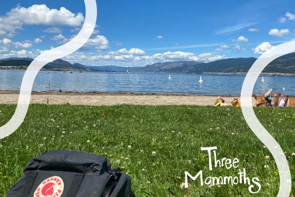 photo at a lake on the Okanagen in a hot summer day