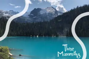 Joffre lakes glaciar and woods in canada