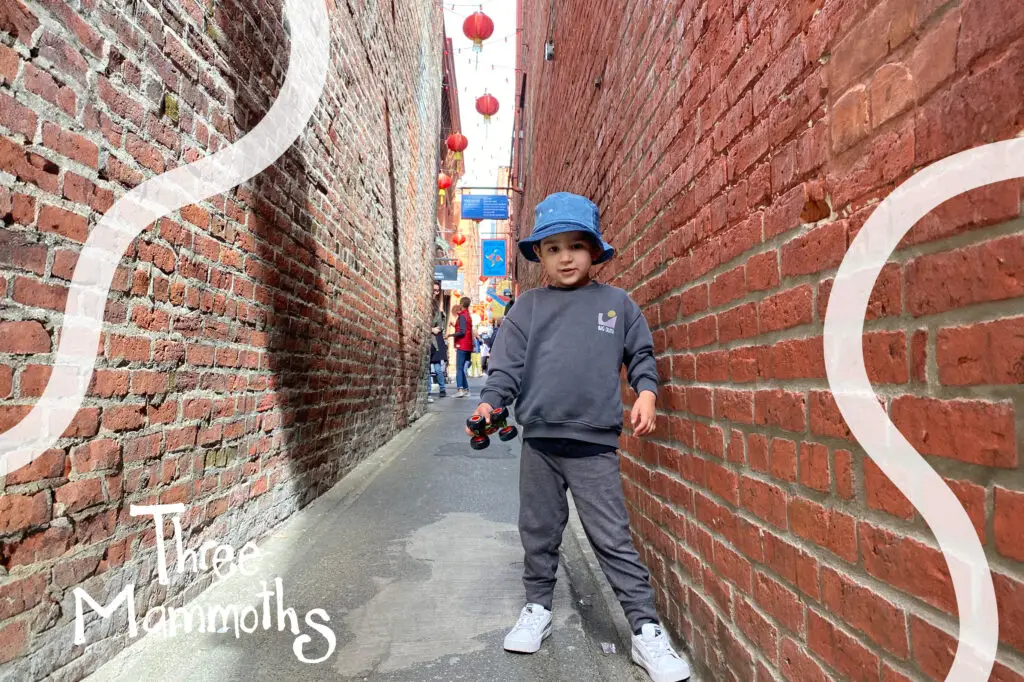 Kid exploring Canada’s oldest Chinatown