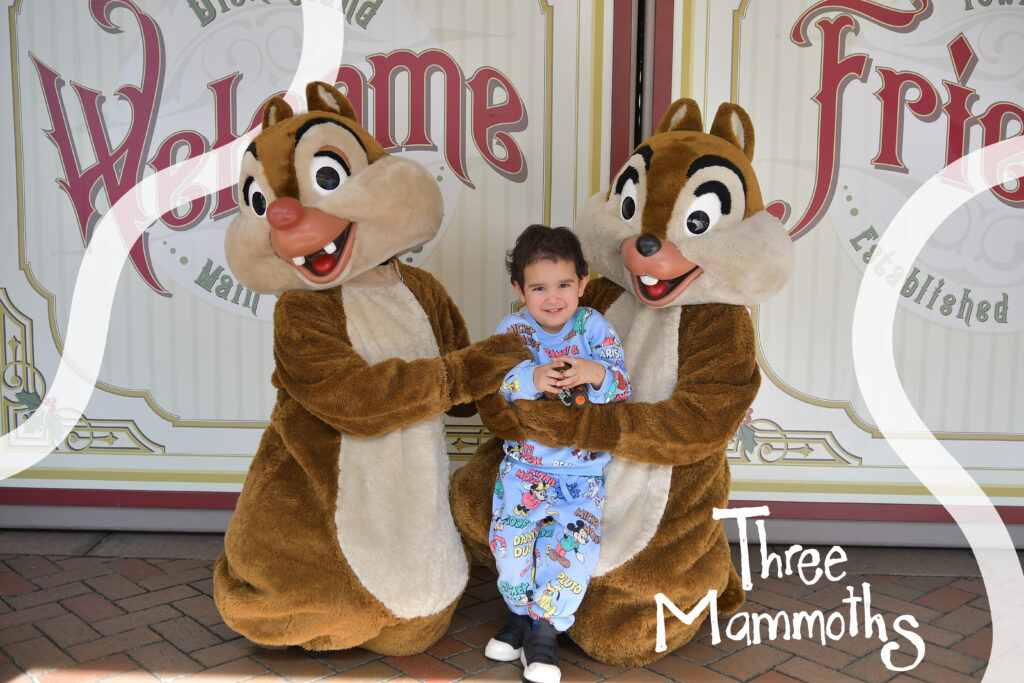Toddler meeting Chip 'n' Dale at Disneyland, capturing a joyful moment with the beloved Disney characters