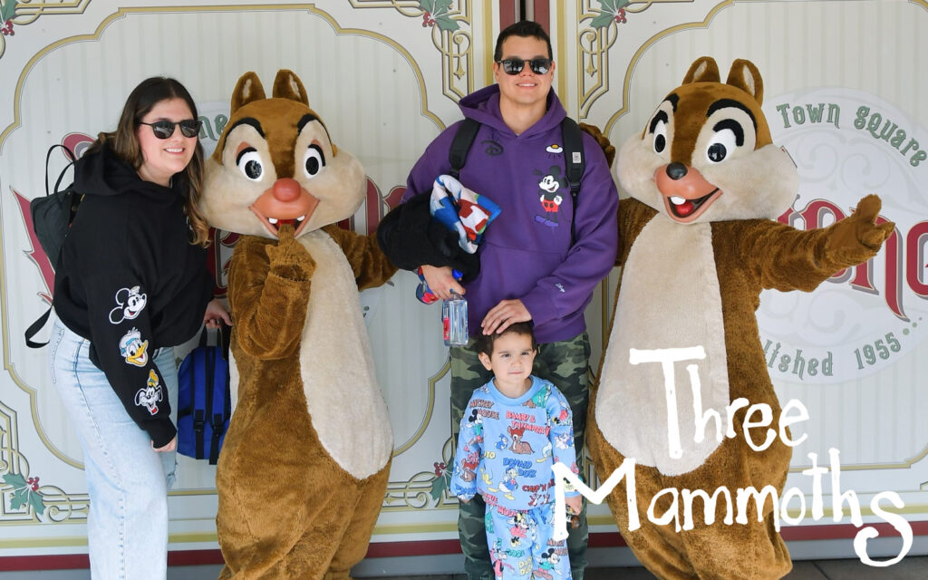 Family enjoying a magical day at Disneyland with a toddler, posing with disney characters during a fun-filled vacation.