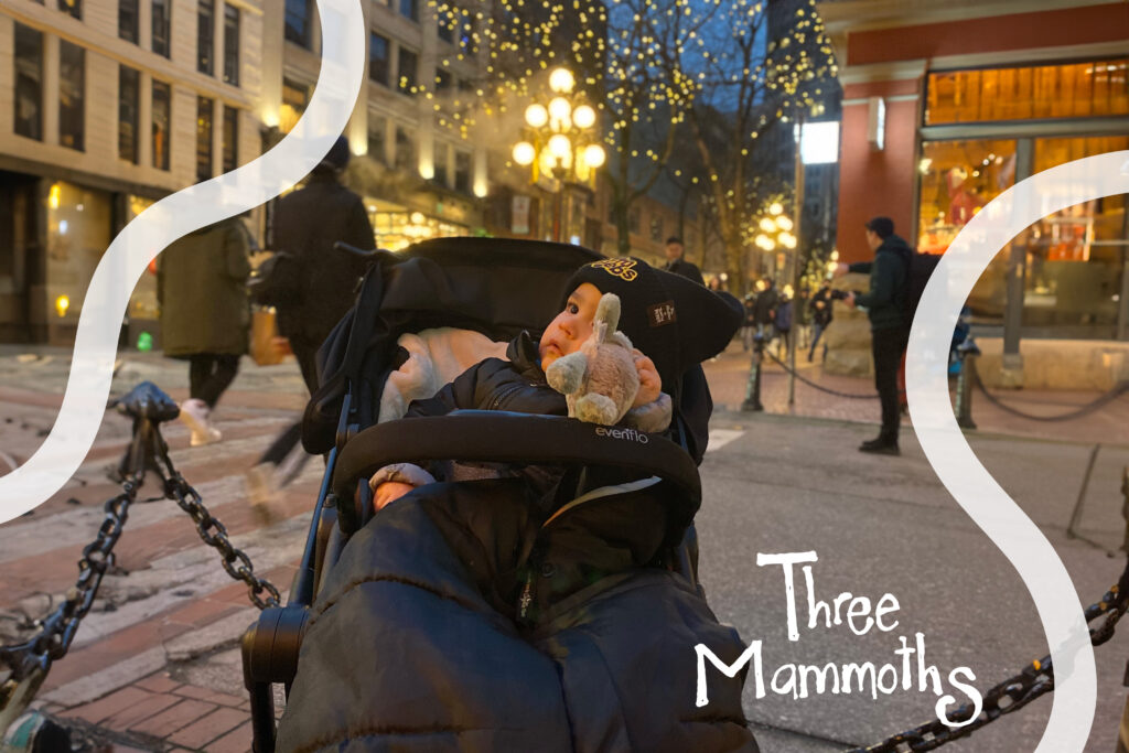 Toddler in stroller in gastown Vnacouver winter