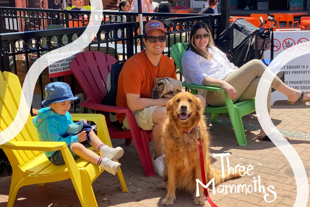 family enjoying the sun with their golden retriever dog at victoria BC