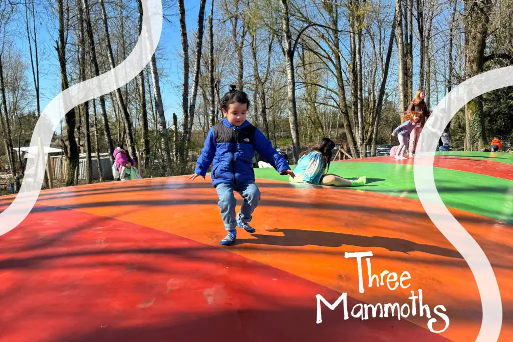 kid jumping in a massive colourful jumping pillow at a farm in Vancouver