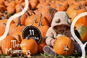 a baby wearing a bear suit in a pumpkin field in a farm