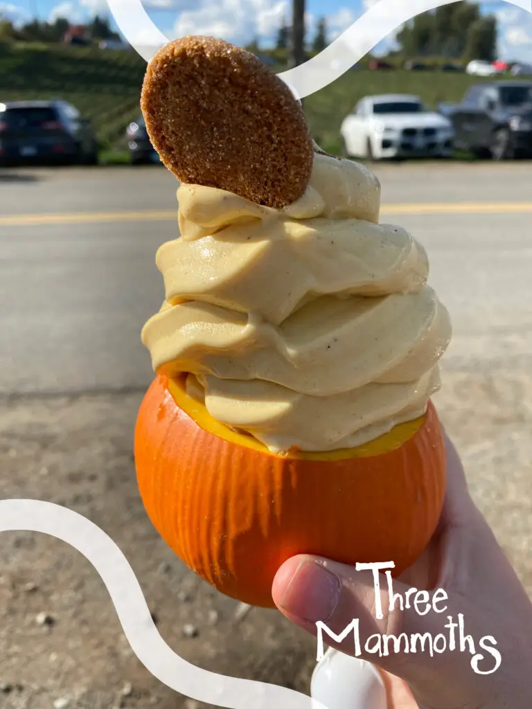 pumpkin ice cream inside a mini pumpkin at Maan's farm