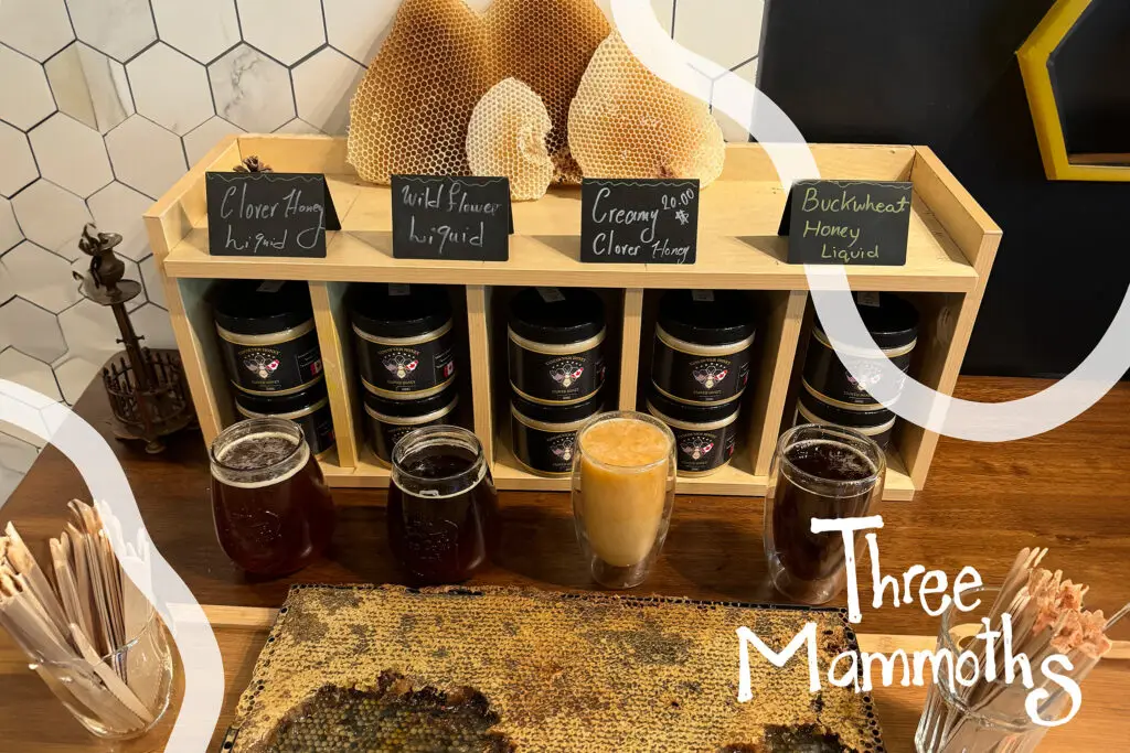 honey com and honey tasting in port moody coffee shop